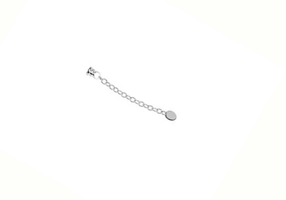 Sterling Silver Bracelet and Necklace Extender_24952_1000MP