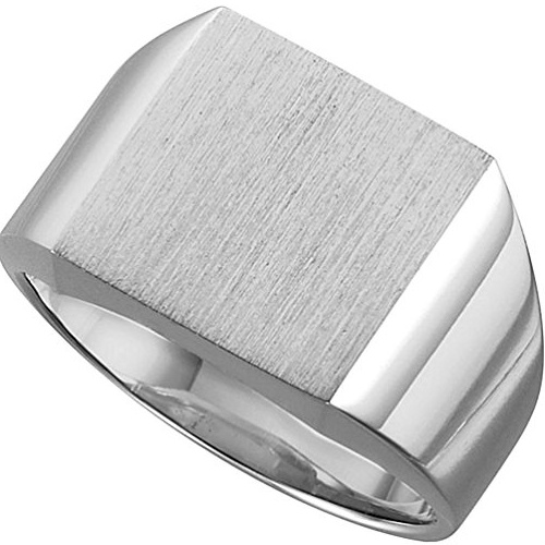 Palladium 4k White Gold Flat Top Signet Ring