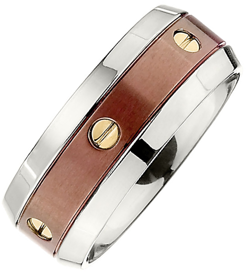 Chocolate Titanium and 14k Yellow Gold Accents Band