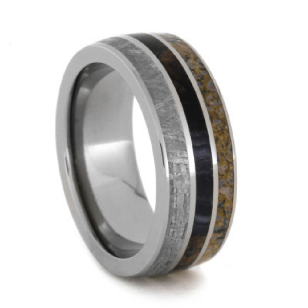 Gibeon Meteorite and Dinosaur Bone with Petrified Wood 8mm Comfort-Fit Polished Titanium Band.  