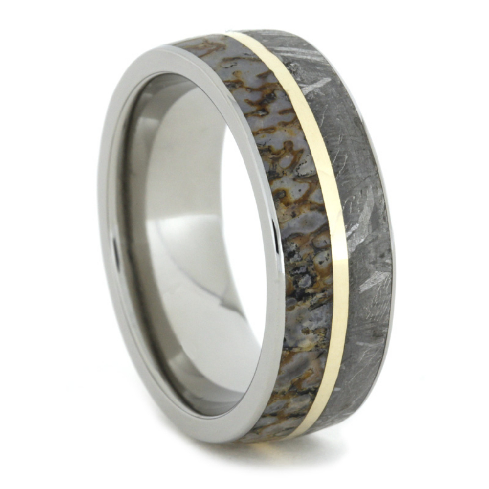 Gibeon Meteorite, Dinosaur Bone, 14k Yellow Gold 8mm Comfort Fit Titanium Band. 