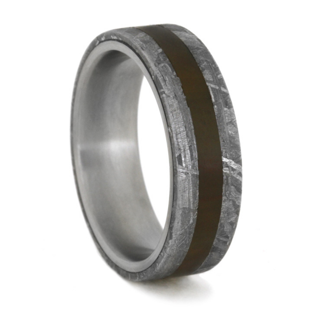 Meteorite and Petrified Wood Overlay 6mm Comfort-Fit Matte Titanium Ring. 