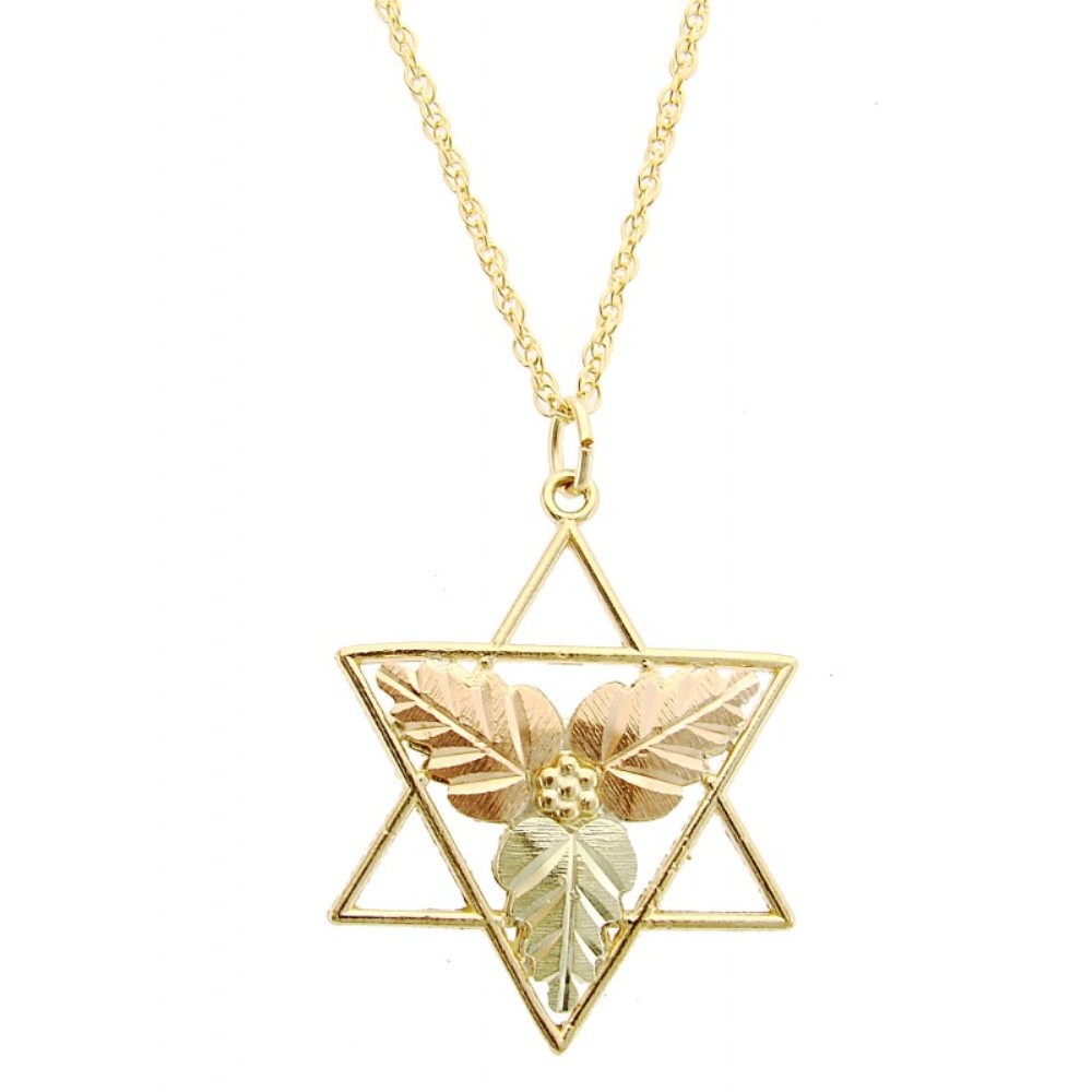 Star of David Pendant Necklace 10k Yellow Gold