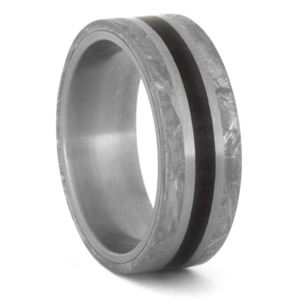 METEORITE STONE WEDDING BAND, PETRIFIED WOOD RING IN TITANIUM