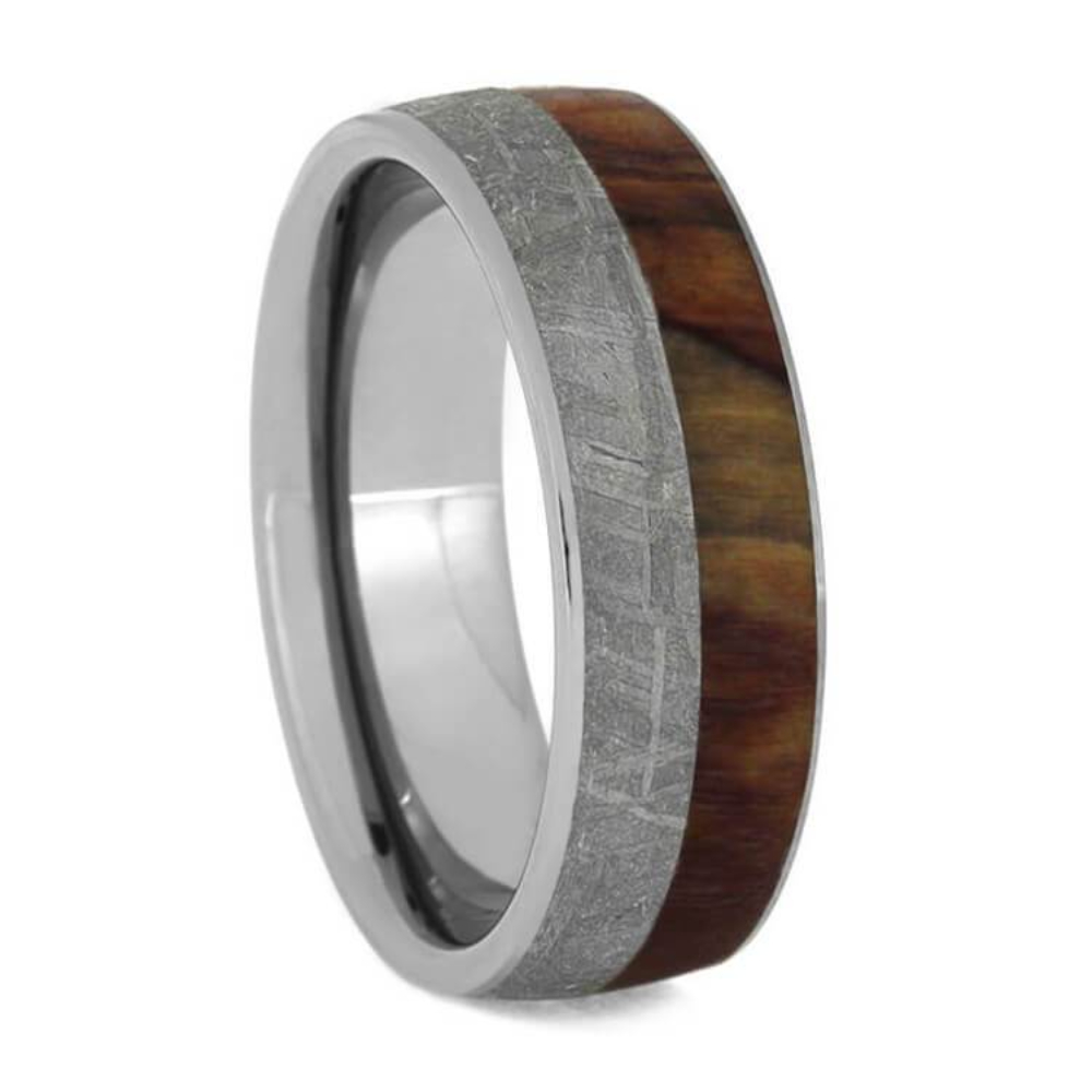     Gibeon Meteorite with Petrified Wood 8mm Titanium Comfort-Fit Wedding Band