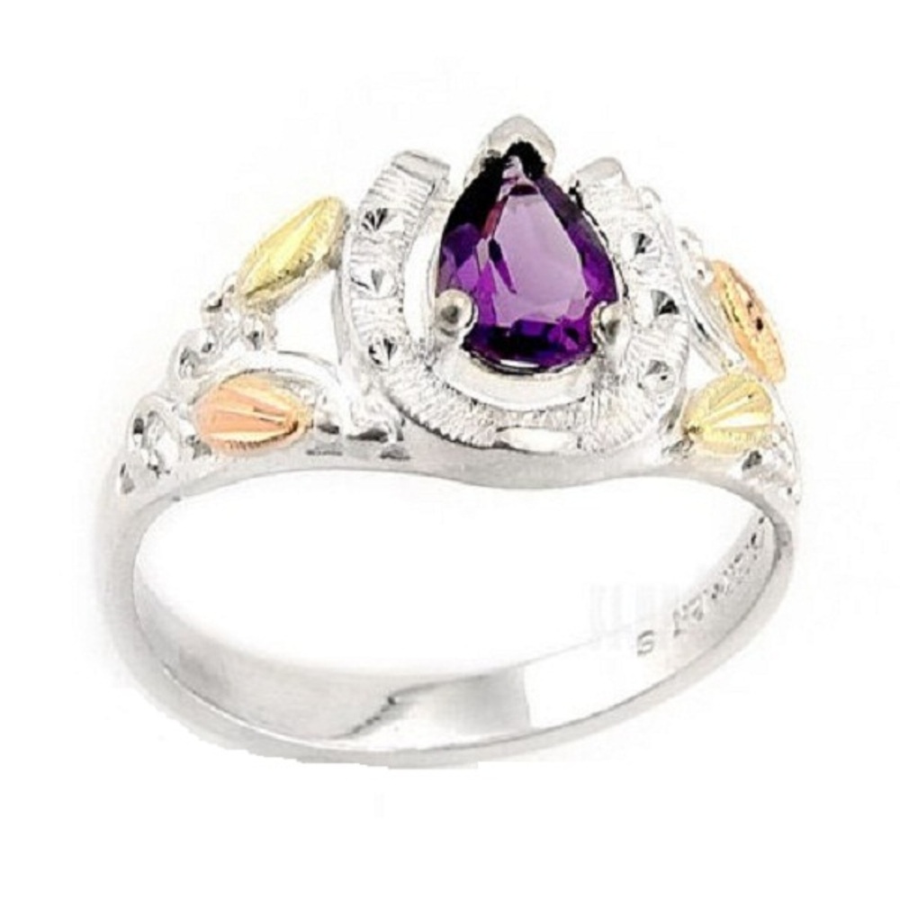 Horseshoe with Lab-Created Amethyst Ring, Sterling Silver