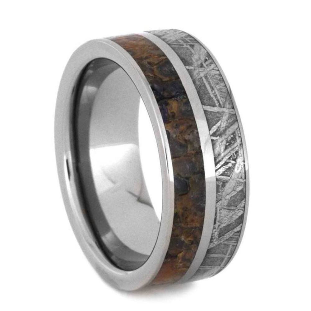 Gibeon Meteorite, Dinosaur Bone 8mm Titanium Comfort-Fit Band  