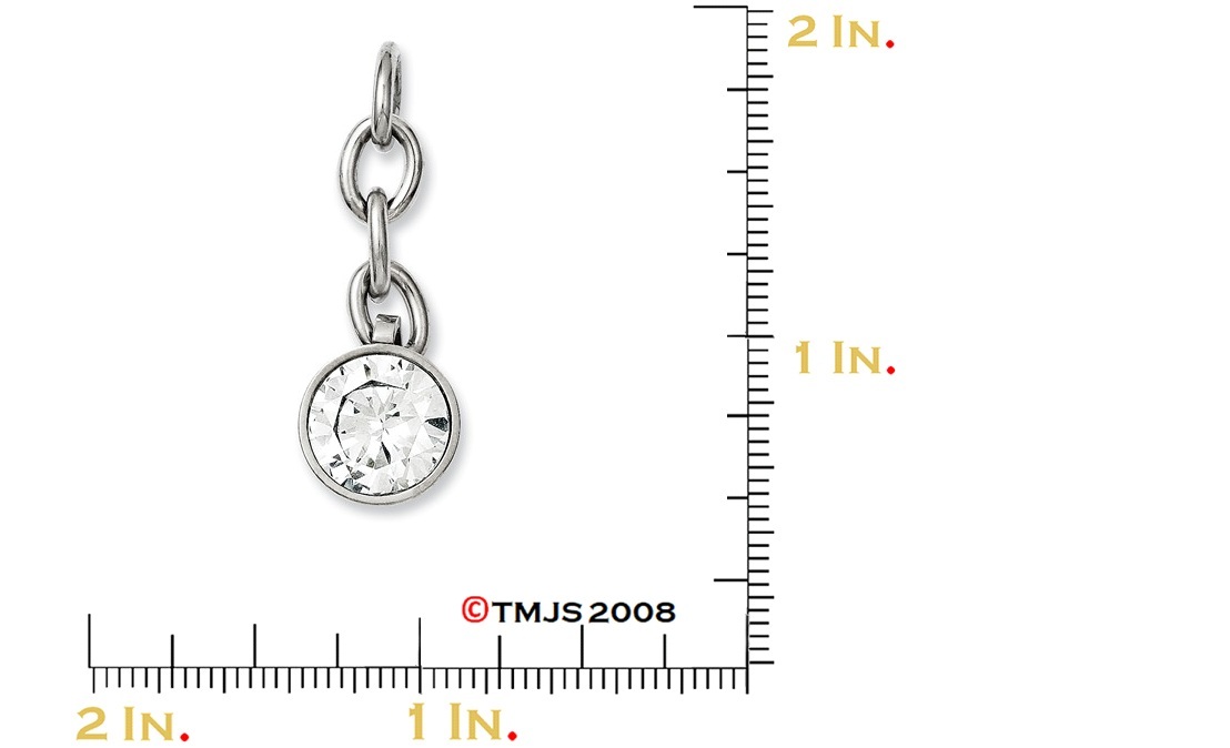 Cubic Zirconia Interchangeable Pendant, Stainless Steel, (41X14MM)