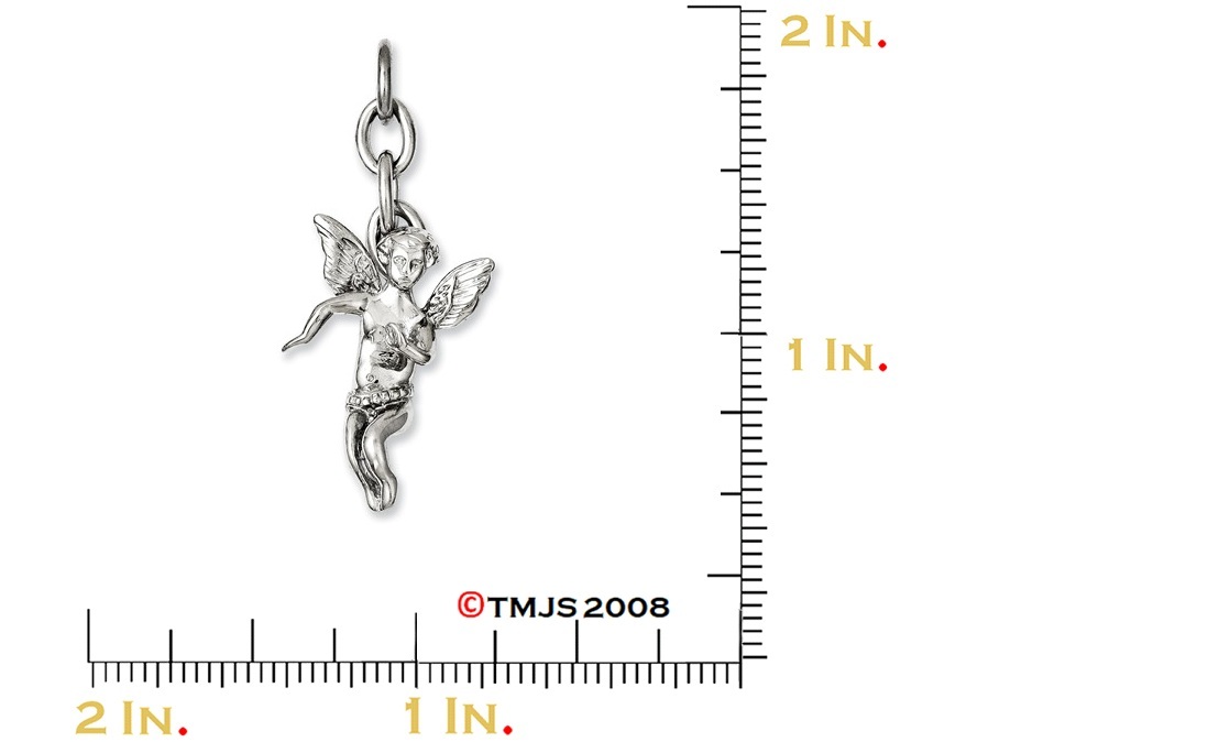 Angel Interchangeable Pendant, Stainless Steel (54X23MM)
img title=SRCH210
