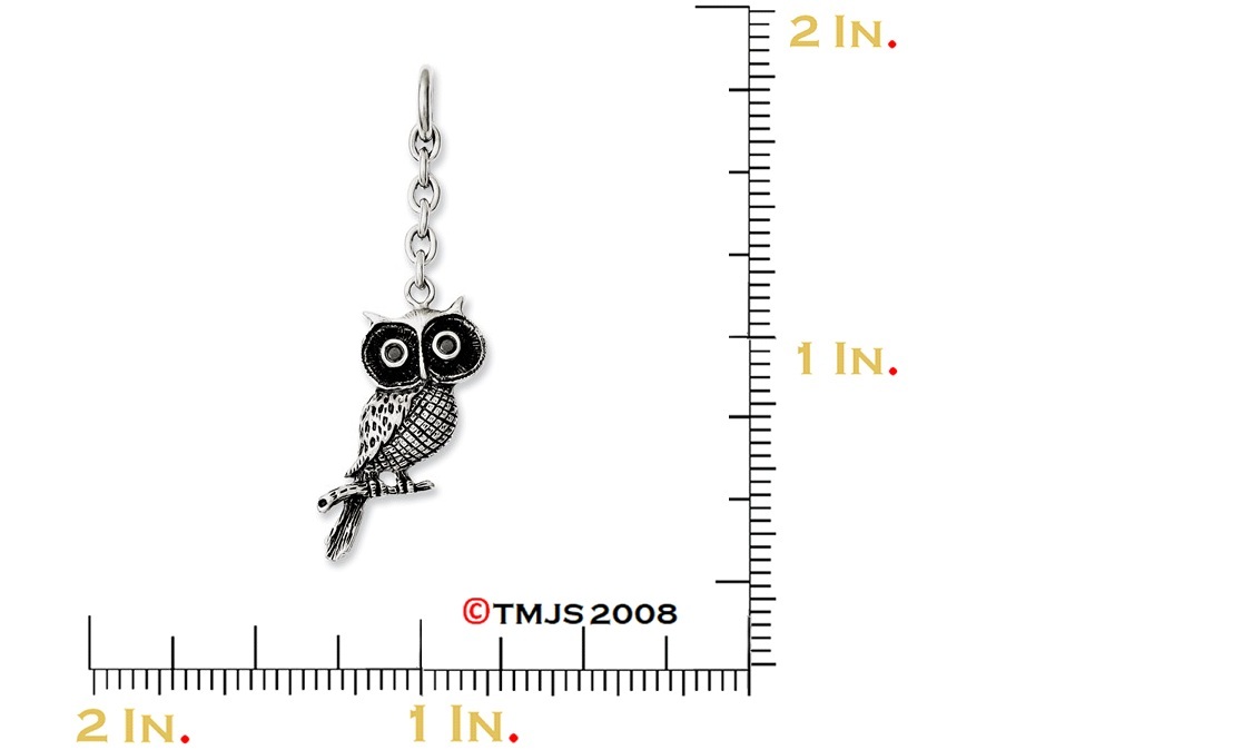 Cubic Zirconia and Owl Interchangeable Pendant, Stainless Steel, 2.5